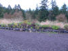 P1020676.JPG (160846 bytes)