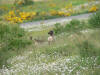 P1040086.JPG (1075728 bytes)