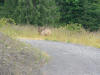 P1040100.JPG (1052077 bytes)