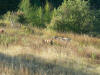 P1040336.JPG (2346600 bytes)