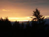 P1040512.JPG (103782 bytes)