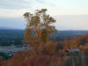 P1020822.JPG (185572 bytes)